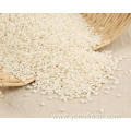 Sticky Rice Grain